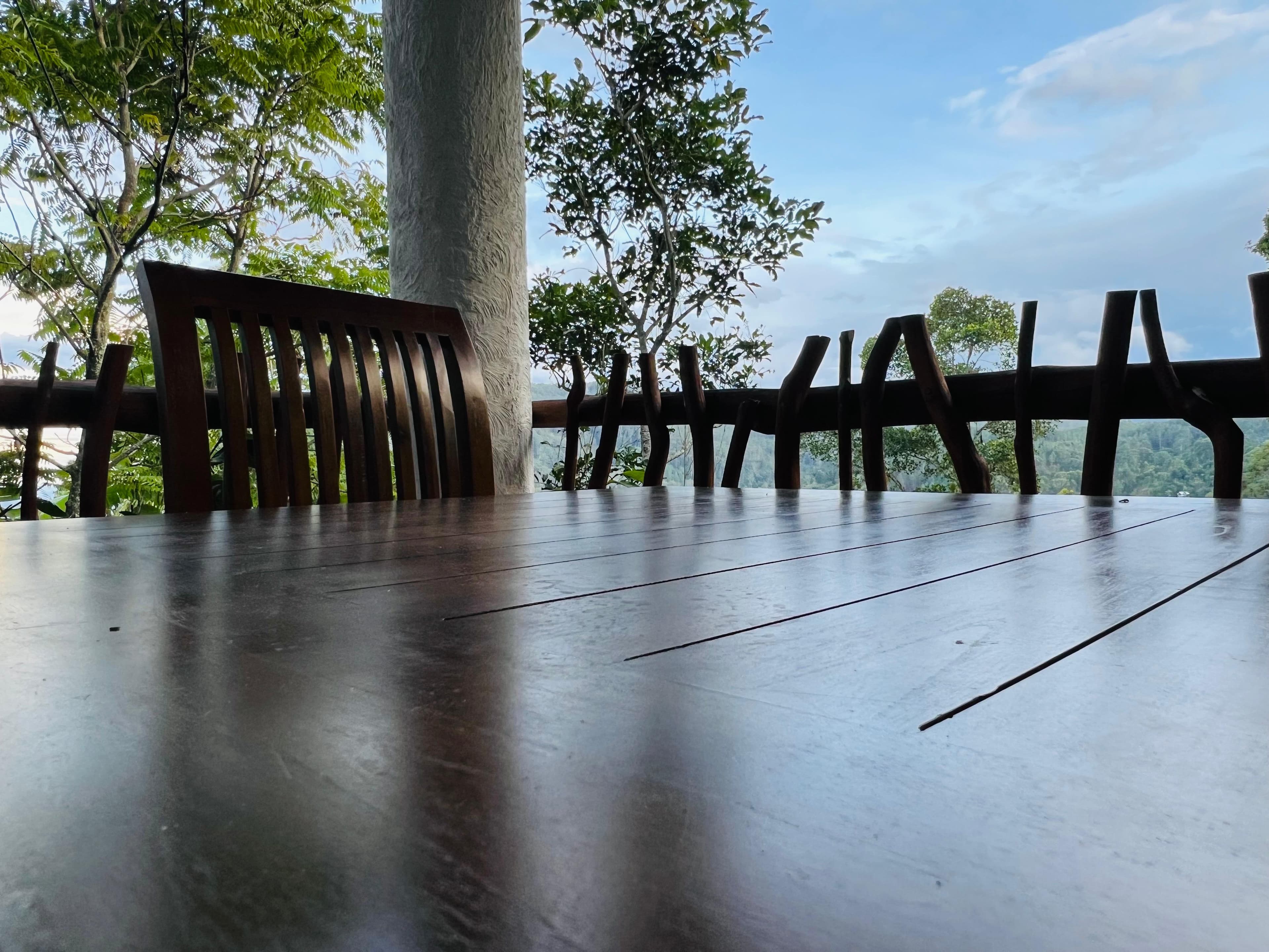 Balcony dining table looking out over the forested hills